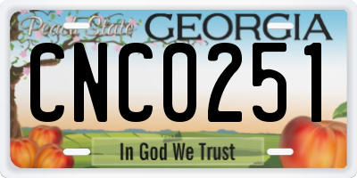 GA license plate CNC0251