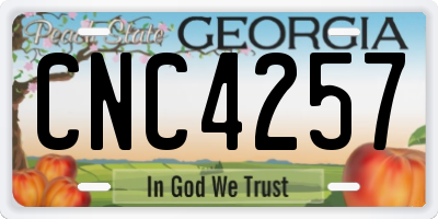 GA license plate CNC4257