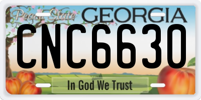 GA license plate CNC6630