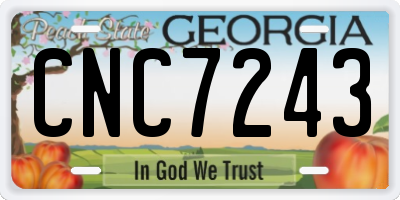 GA license plate CNC7243