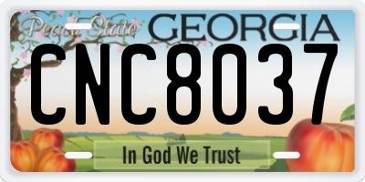 GA license plate CNC8037