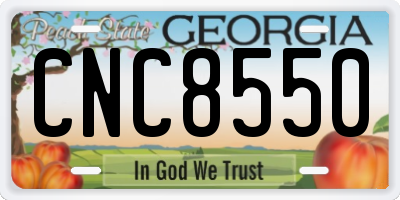 GA license plate CNC8550