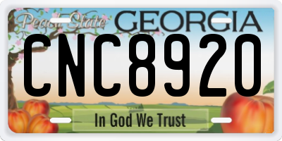 GA license plate CNC8920