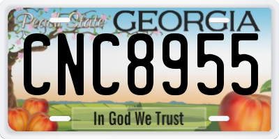 GA license plate CNC8955