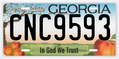 GA license plate CNC9593