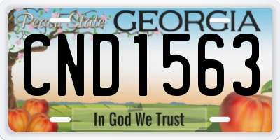 GA license plate CND1563