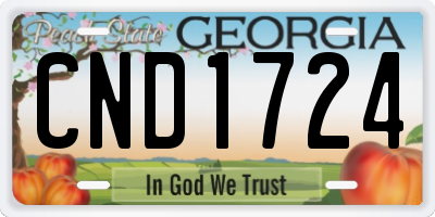 GA license plate CND1724