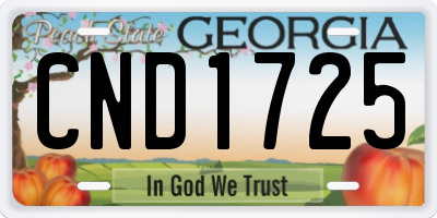 GA license plate CND1725