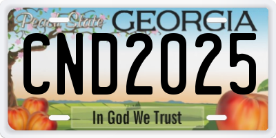 GA license plate CND2025