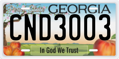 GA license plate CND3003