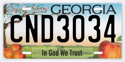 GA license plate CND3034