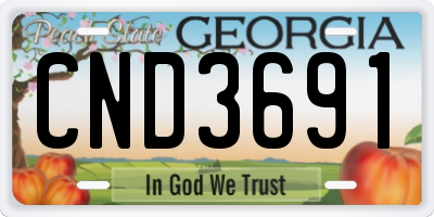 GA license plate CND3691
