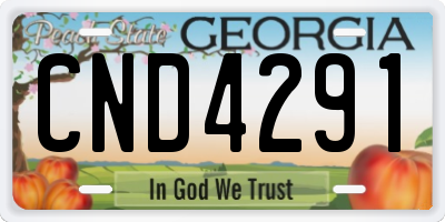 GA license plate CND4291