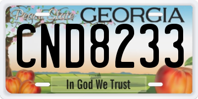 GA license plate CND8233