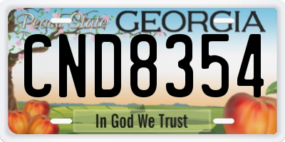 GA license plate CND8354