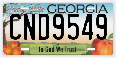 GA license plate CND9549