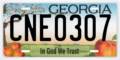 GA license plate CNE0307