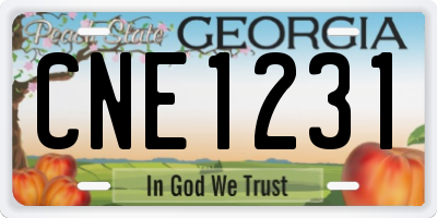 GA license plate CNE1231