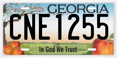 GA license plate CNE1255
