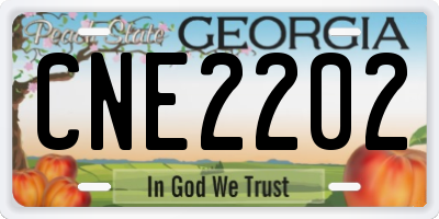 GA license plate CNE2202