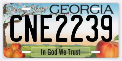 GA license plate CNE2239