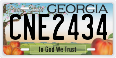 GA license plate CNE2434
