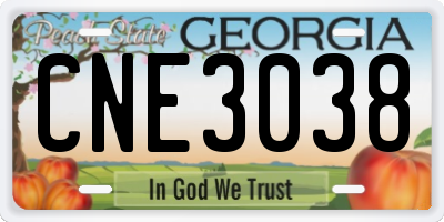 GA license plate CNE3038