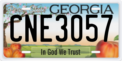 GA license plate CNE3057