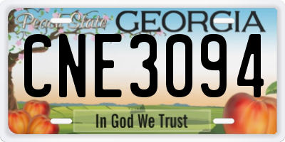 GA license plate CNE3094