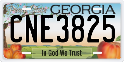 GA license plate CNE3825