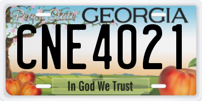 GA license plate CNE4021