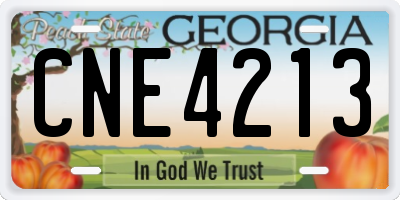 GA license plate CNE4213