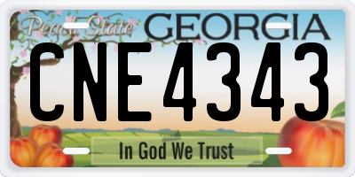 GA license plate CNE4343