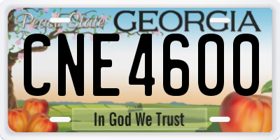 GA license plate CNE4600