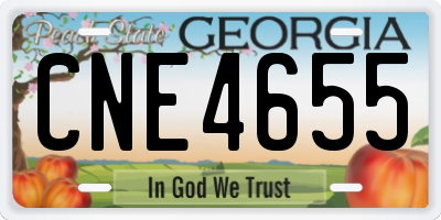 GA license plate CNE4655