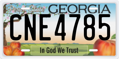 GA license plate CNE4785