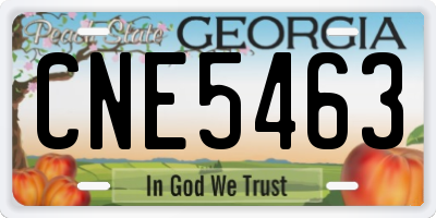 GA license plate CNE5463