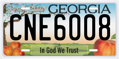 GA license plate CNE6008