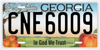 GA license plate CNE6009