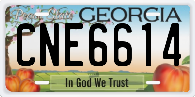 GA license plate CNE6614