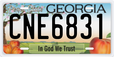 GA license plate CNE6831