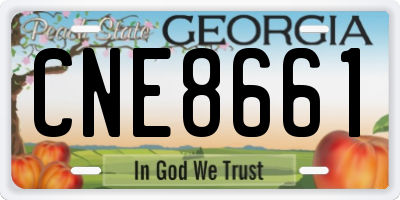GA license plate CNE8661