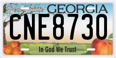 GA license plate CNE8730