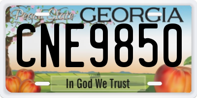 GA license plate CNE9850