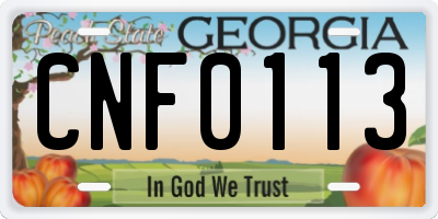 GA license plate CNF0113