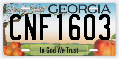 GA license plate CNF1603