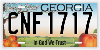 GA license plate CNF1717