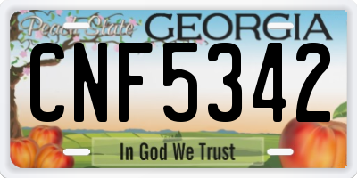 GA license plate CNF5342