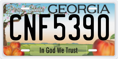 GA license plate CNF5390