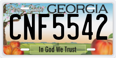 GA license plate CNF5542